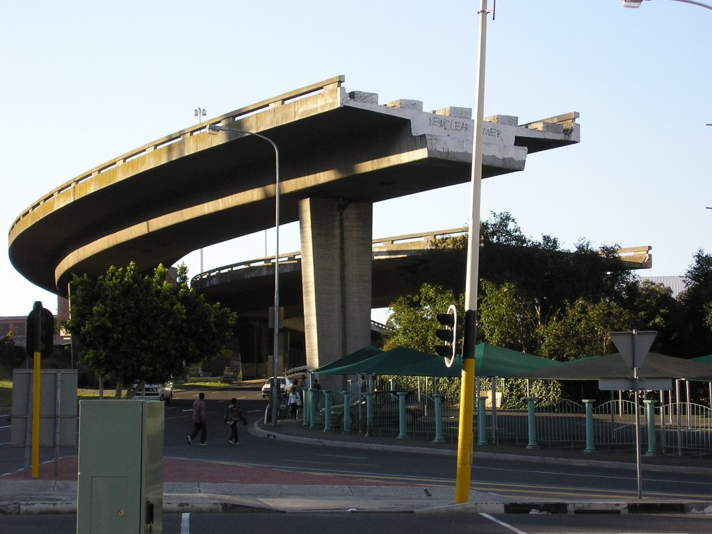 Penguins! Baboons! Dassies! Seals! Steve&nbsp;Bell!