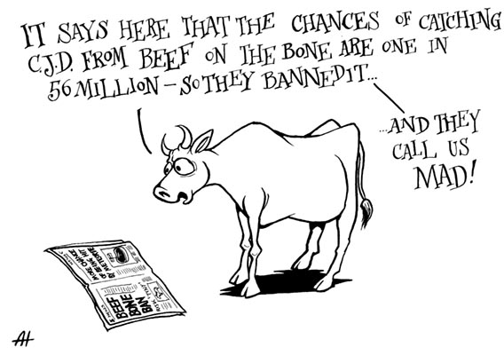 And They Call Us&nbsp;Mad