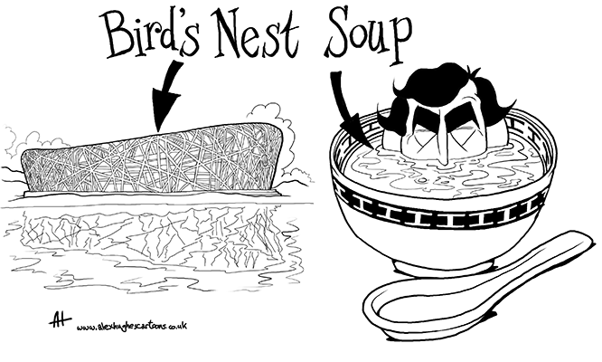 Bird’s Nest Soup
