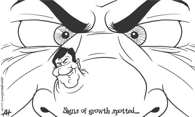 Signs of Growth&nbsp;Spotted…